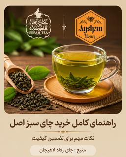 راهنمای کامل خرید چای سبز اصل + 3 نکته مهم برای تضمین کیفیت